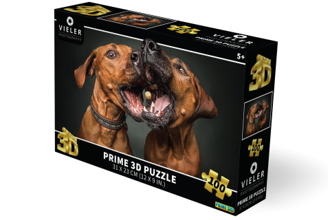 Puzzle 3D - Psi
