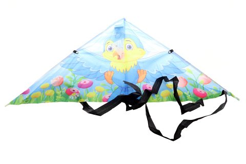 Drak l�tac� pt��ek