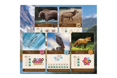 Kask�die promo karty